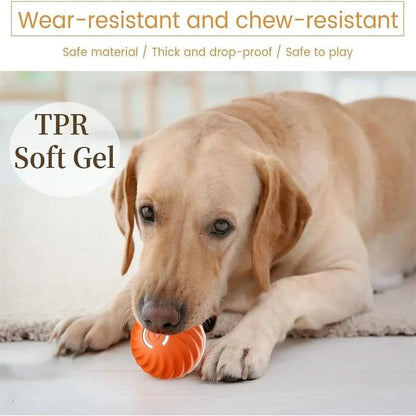 PLAYPET Interactive Dog Ball Rechargeable Bouncing Ball