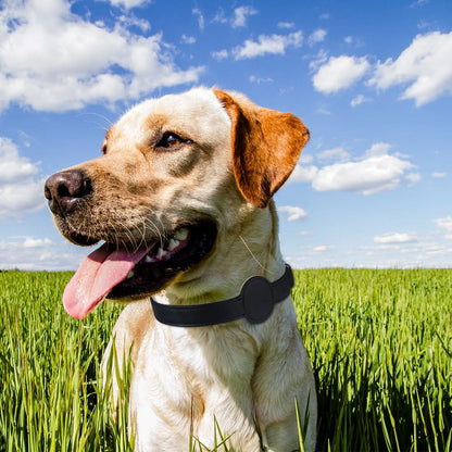 TAGSAFE Dog Collar