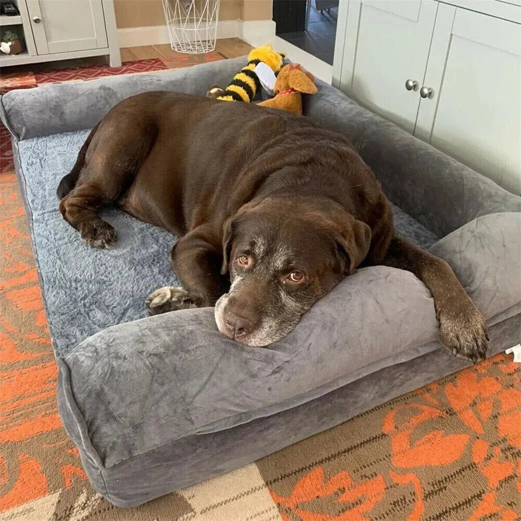 FURSUITE Orthopedic Foam Sponge Couch Bed