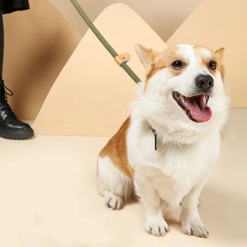 COLORLEASH Colorful Dog Leash