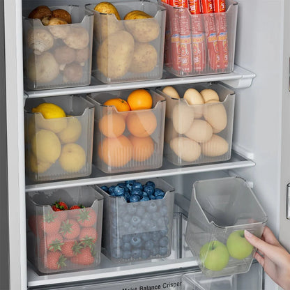 CLARIBOX Transparent Refrigerator Boxes