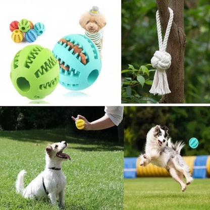 PLAYNIBBLE BALL Interactive Treat Ball