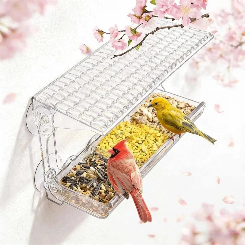SKYVIEWFEED Transparent Window Feeder Station