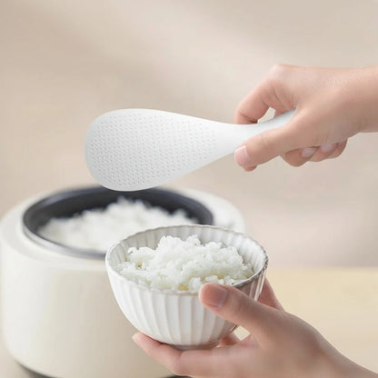 RICEIXA Rice Scoop