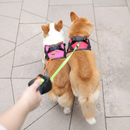 PROPET DUO Rolling Lead for Two Dogs