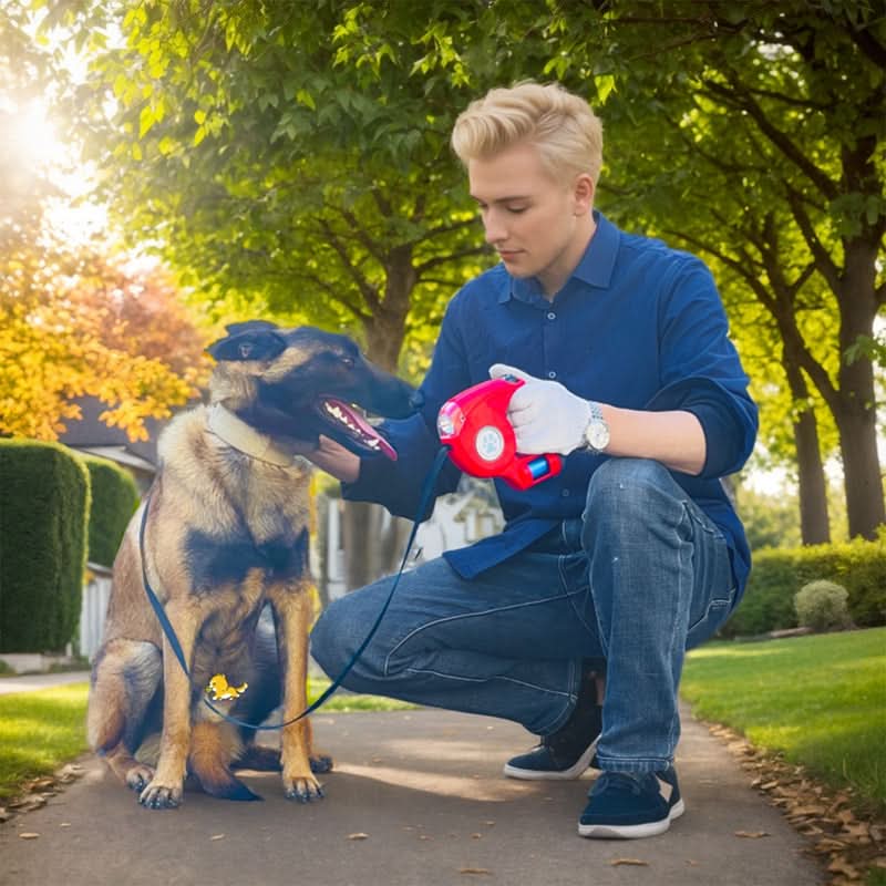 BRIGHTSTRIDE LED Dog Leash