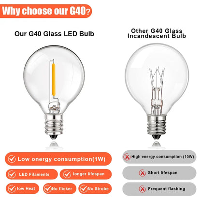 G40 LED Bulb, 1W 12V E12, for RVs and Boats