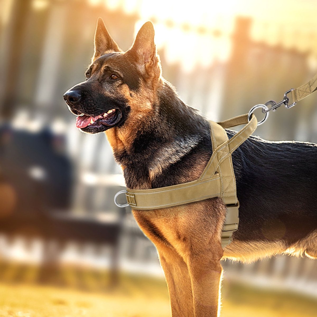 PAWGUARD Adjustable Reflective Dog Harness