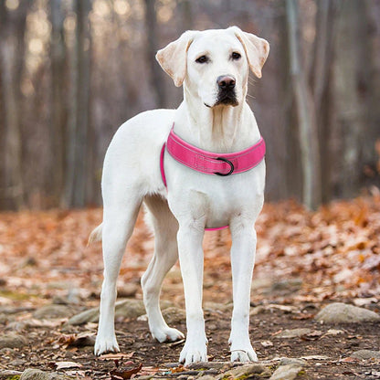 PAWGUARD Adjustable Reflective Dog Harness