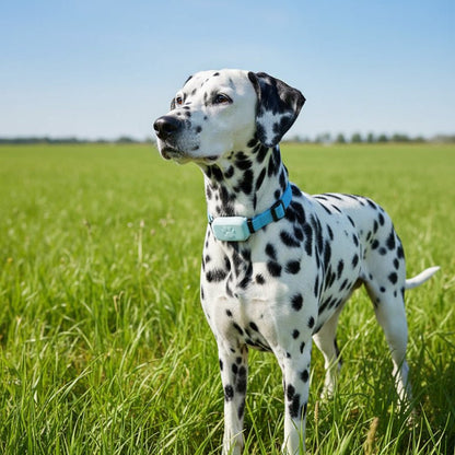LOSTLESS Intelligent GPS Pet Tracker