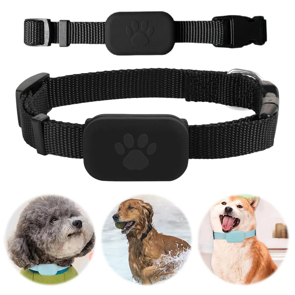 LOSTLESS Intelligent GPS Pet Tracker