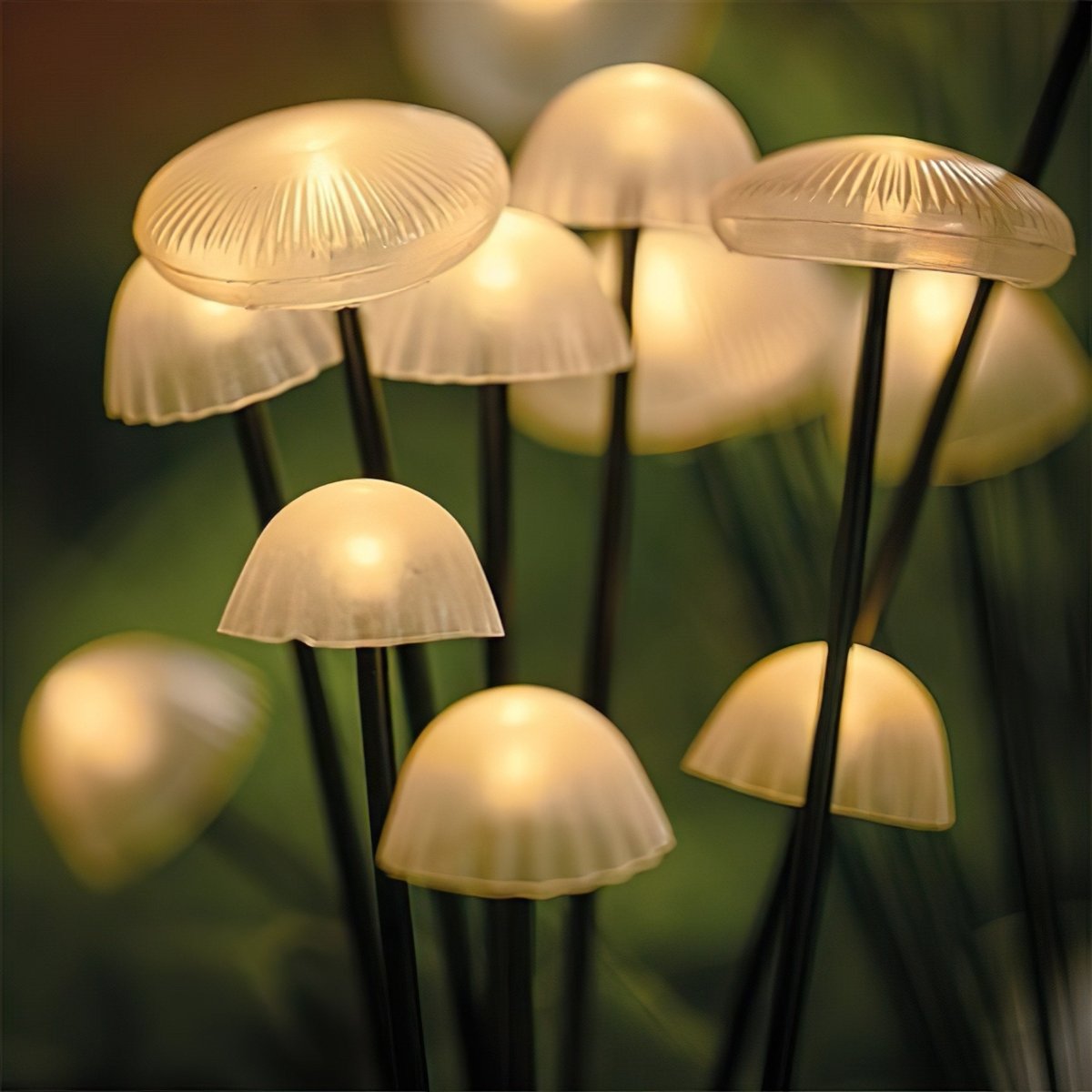 FORESTSHINE Weather-resistant 10-LED Mushroom Lights Set