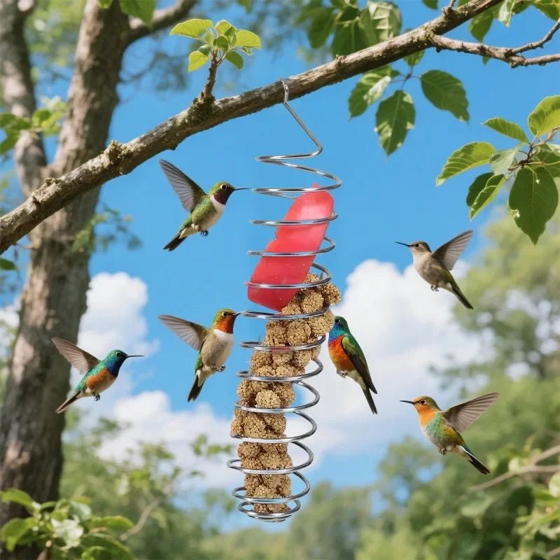 STEELSWIRL Stainless Steel Parrot Food Dispenser