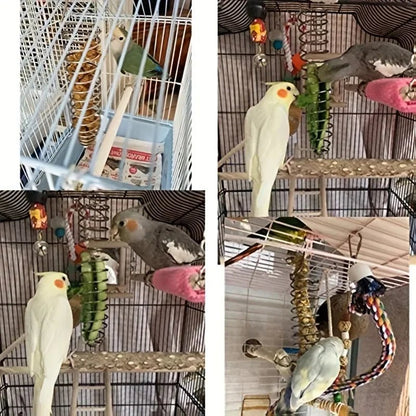 STEELSWIRL Stainless Steel Parrot Food Dispenser