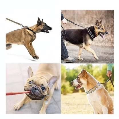 SECURELINK Dog Training Prong Collar