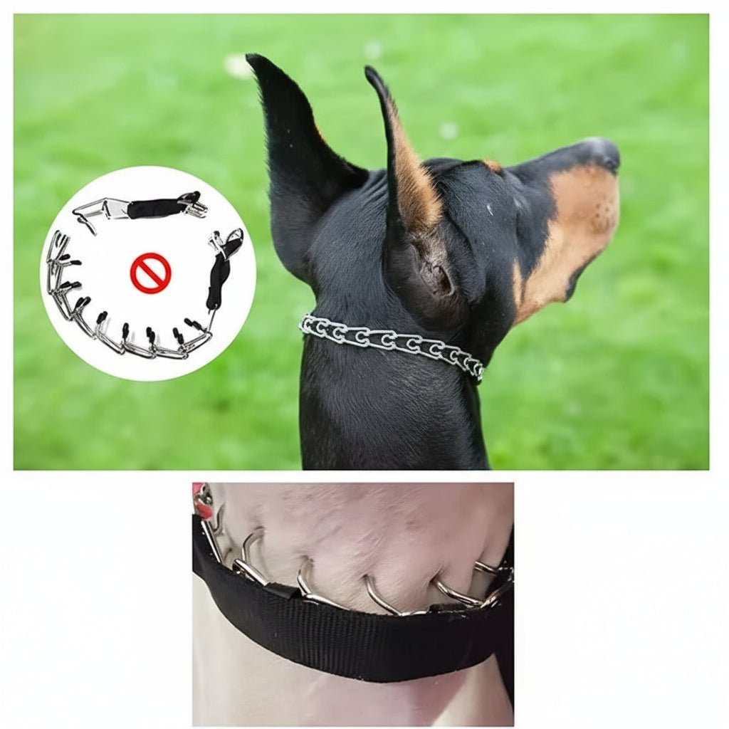 SECURELINK Dog Training Prong Collar