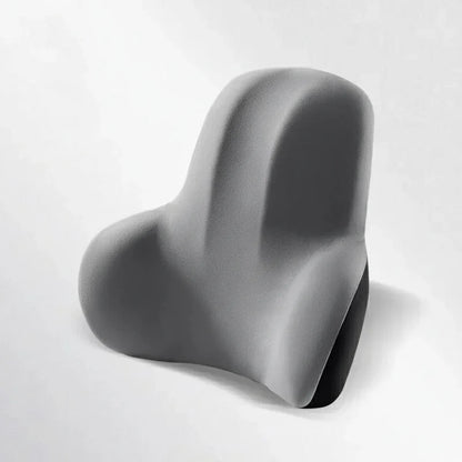 AUTOERGON Memory Foam Auto Neck & Lumbar Support