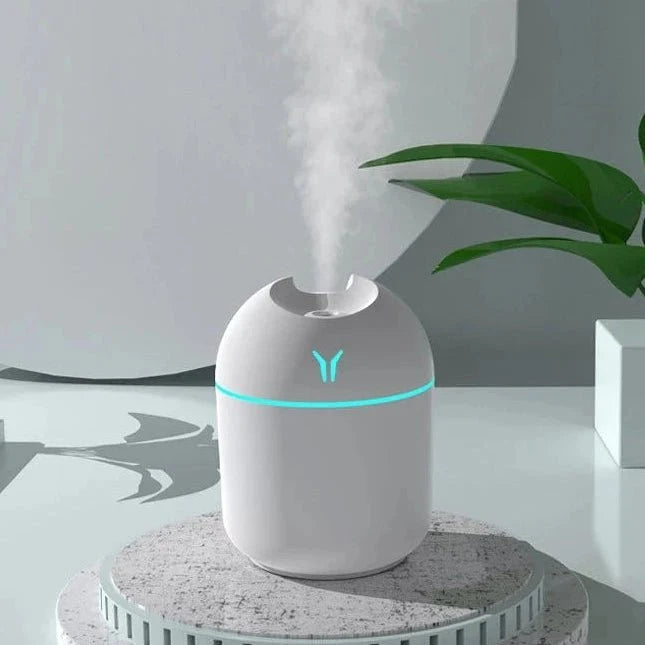 AirMist 250 USB Mini Humidifier