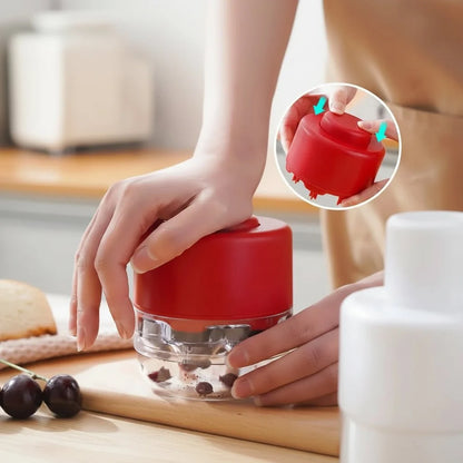 SEEDIX Kitchen Tool for Quick Removal of Cores