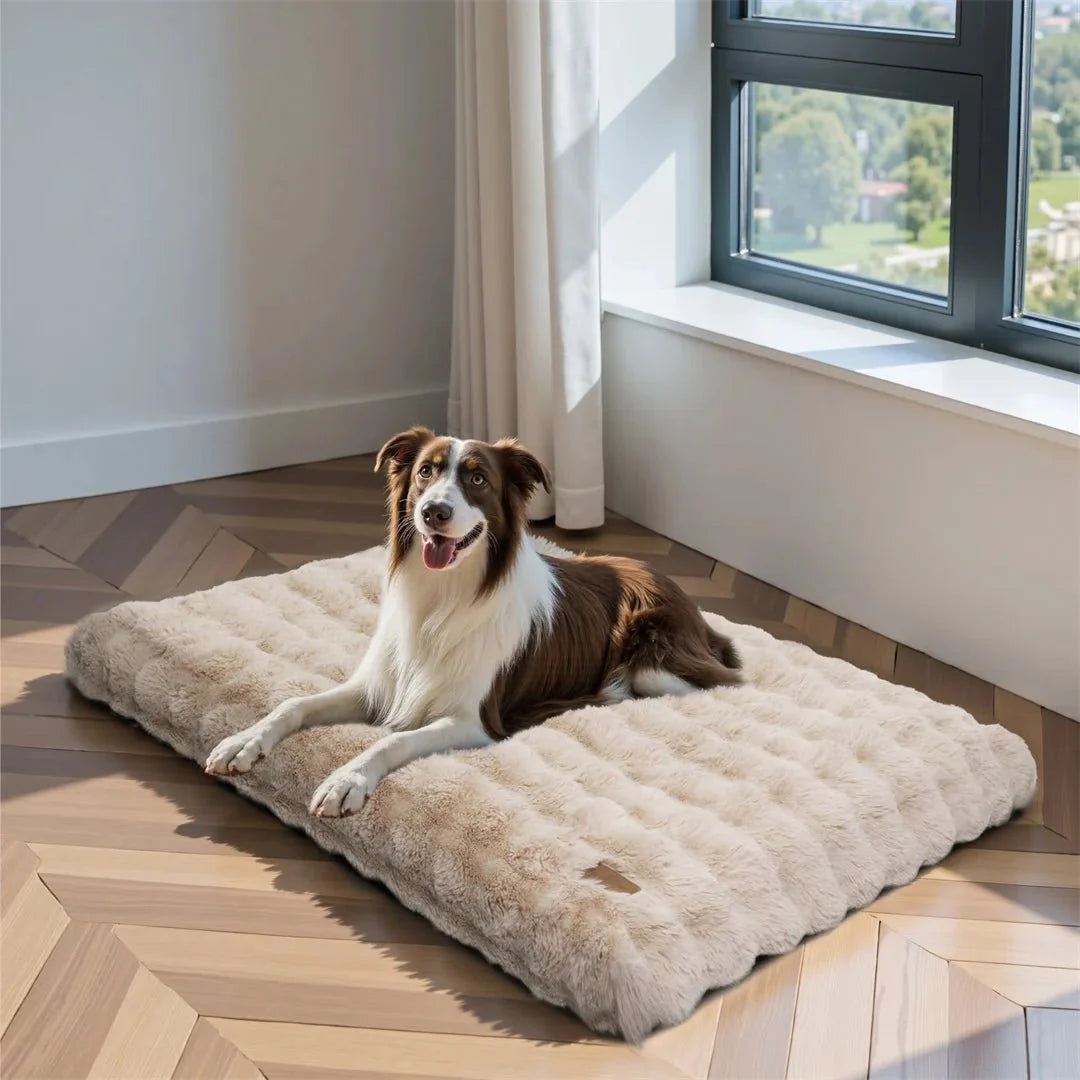 PETSERENE Calming Bed for Dogs & Cats