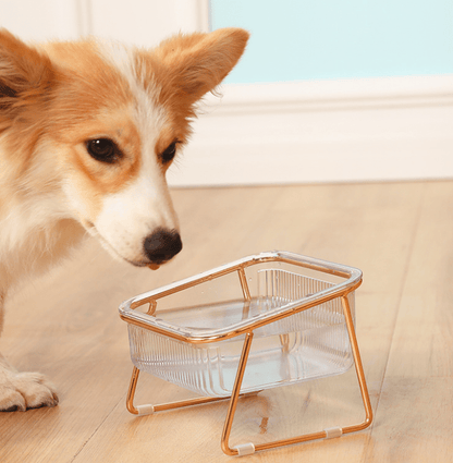 PETCHIC Raised Food Bowl for Cats & Small Dogs