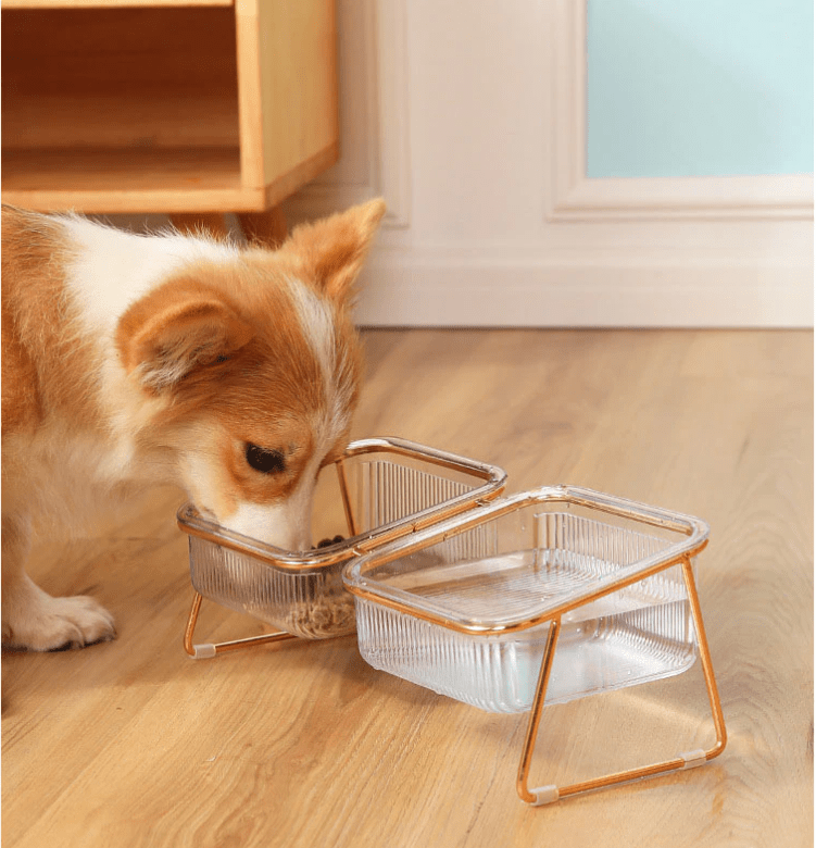 PETCHIC Raised Food Bowl for Cats & Small Dogs