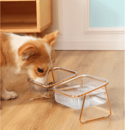 PETCHIC Raised Food Bowl for Cats & Small Dogs