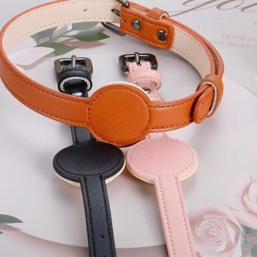 TAGSAFE Dog Collar