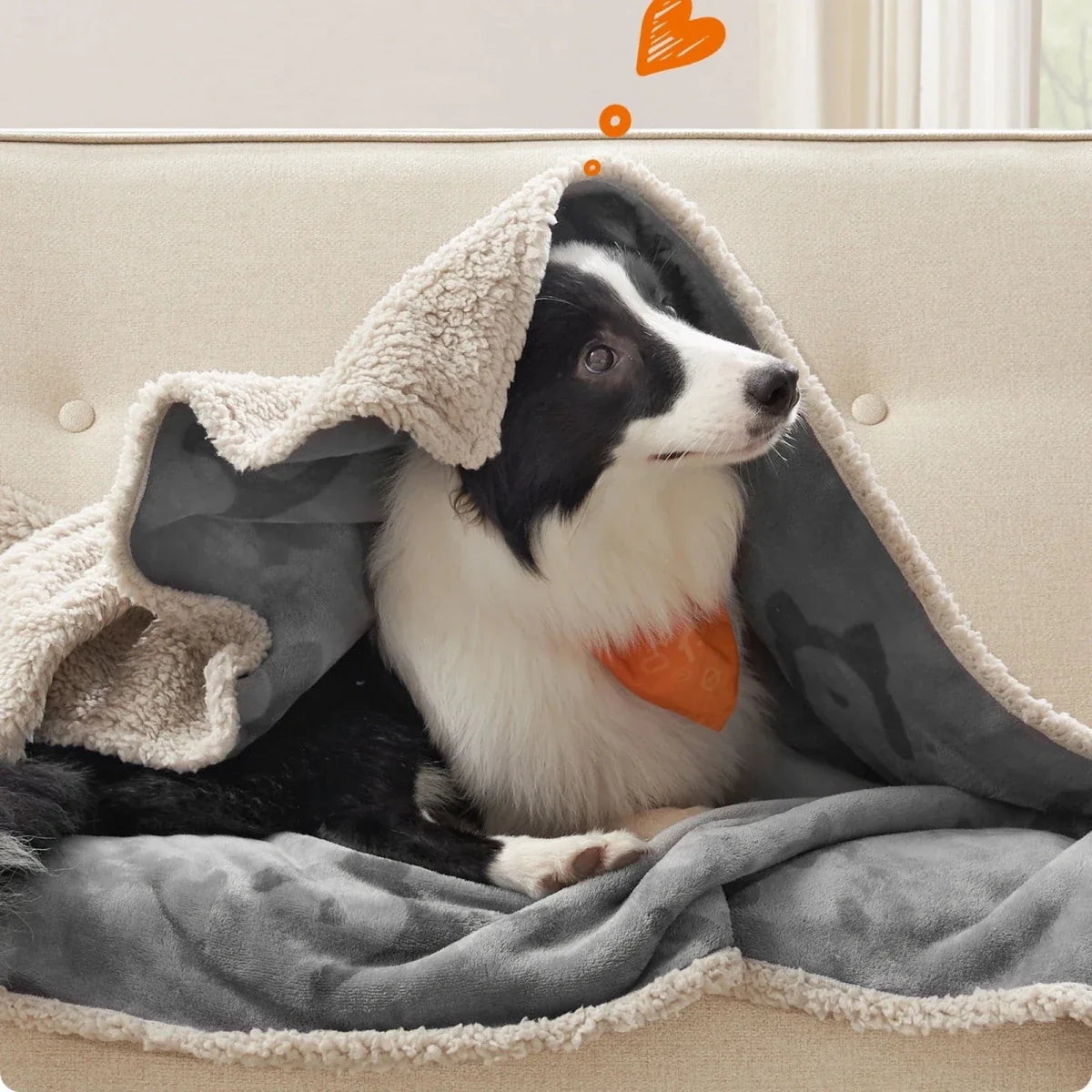 FURBLANKET Soft Blanket for Dogs & Cats