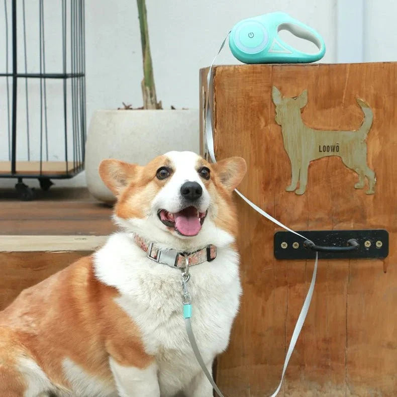DogLight Automatic Dog Lead
