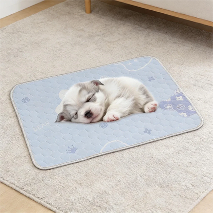 FROSTFUR Cooling Mat for Dogs & Cats