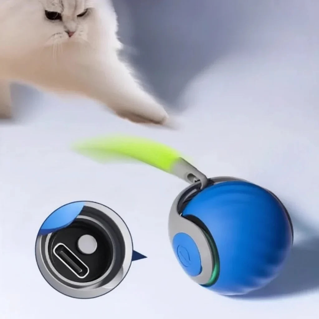 PLAYPAWS USB Interactive Rolling Toy lifestyle image