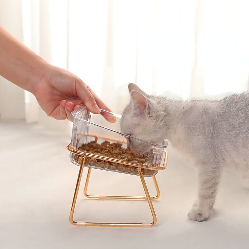 PETCHIC Raised Food Bowl for Cats & Small Dogs - image 2