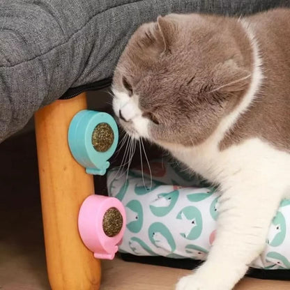 PURRFECT CATNIP TOY Toy
