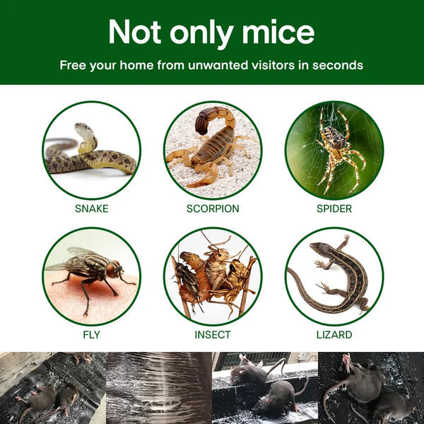 Extra-Strong Glue Trap for Rats, Odorless