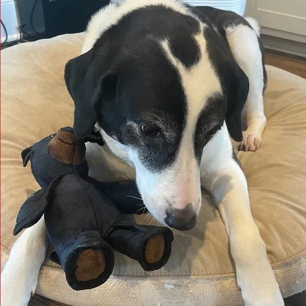 BEARBITE Interactive Dog Toy