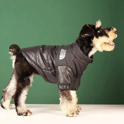 Dog Winter Jacket, Lined and Windproof