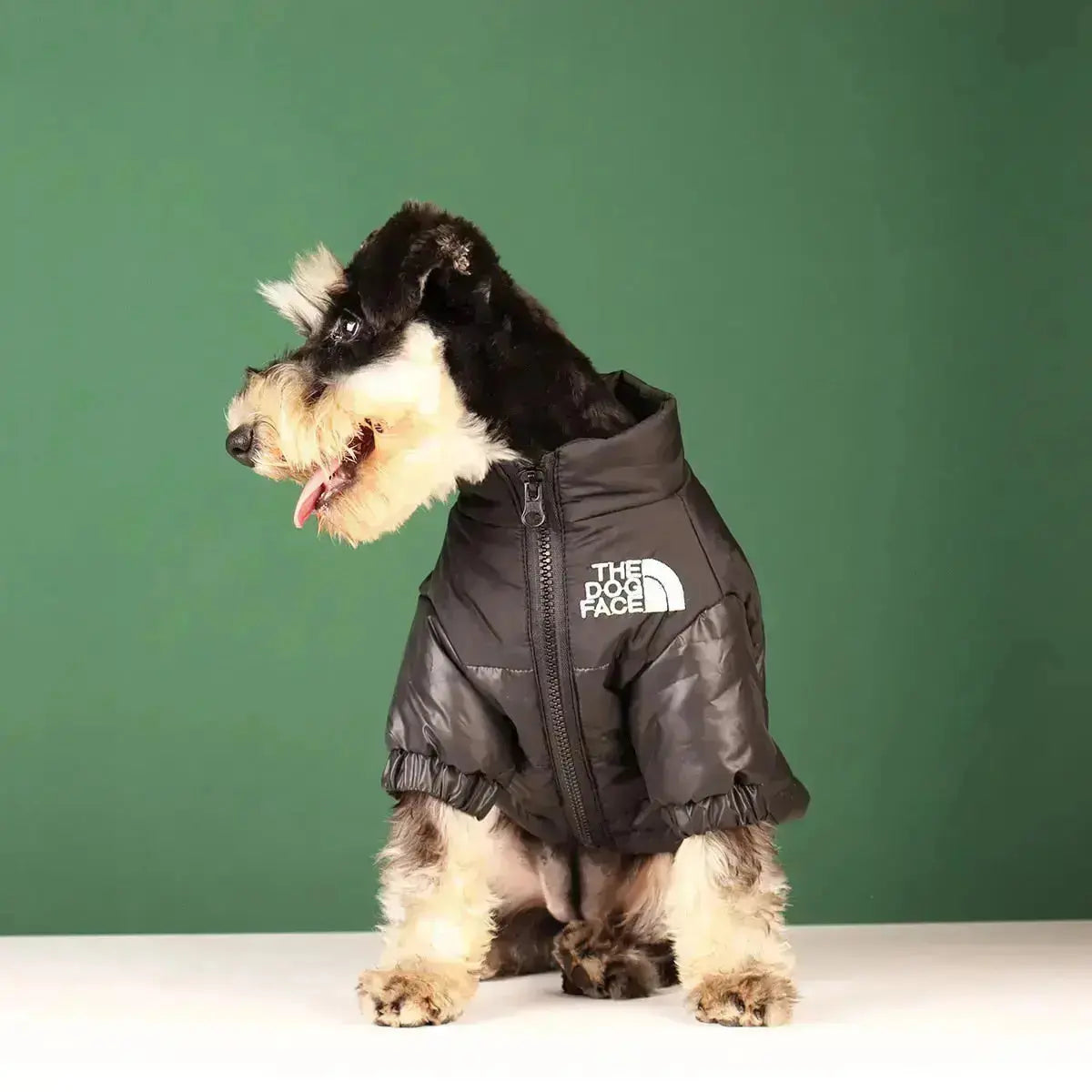 Dog Winter Jacket, Lined and Windproof