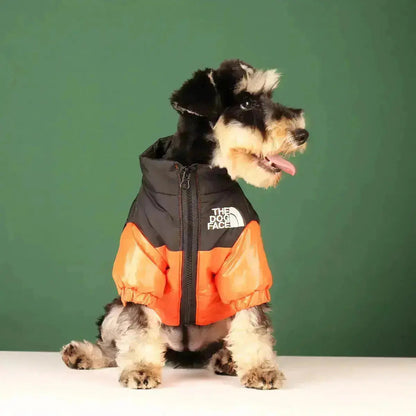 Dog Winter Jacket, Lined and Windproof