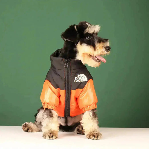 Dog Winter Jacket, Warm Lined Windproof Coat for Cold Weather Walks & Outdoor Play