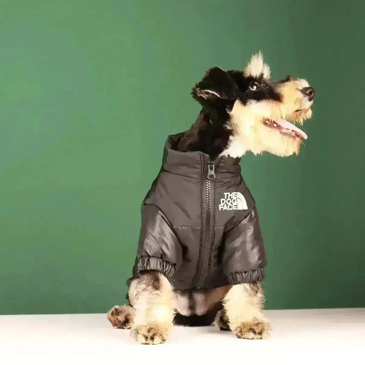 Dog Winter Jacket, Lined and Windproof