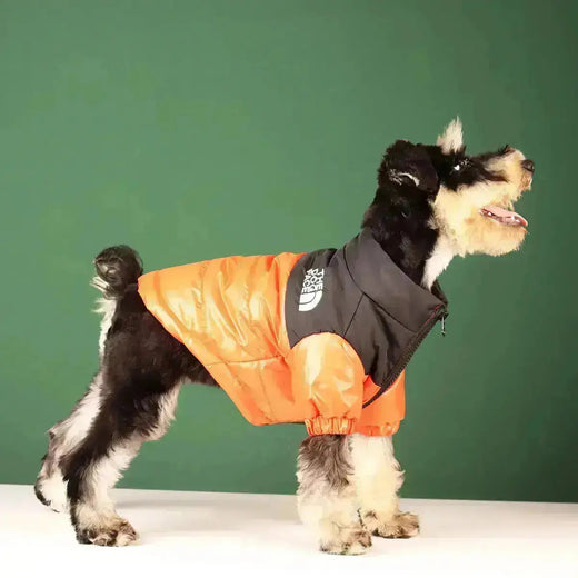 Dog Winter Jacket, Warm Lined Windproof Coat for Cold Weather Walks & Outdoor Play