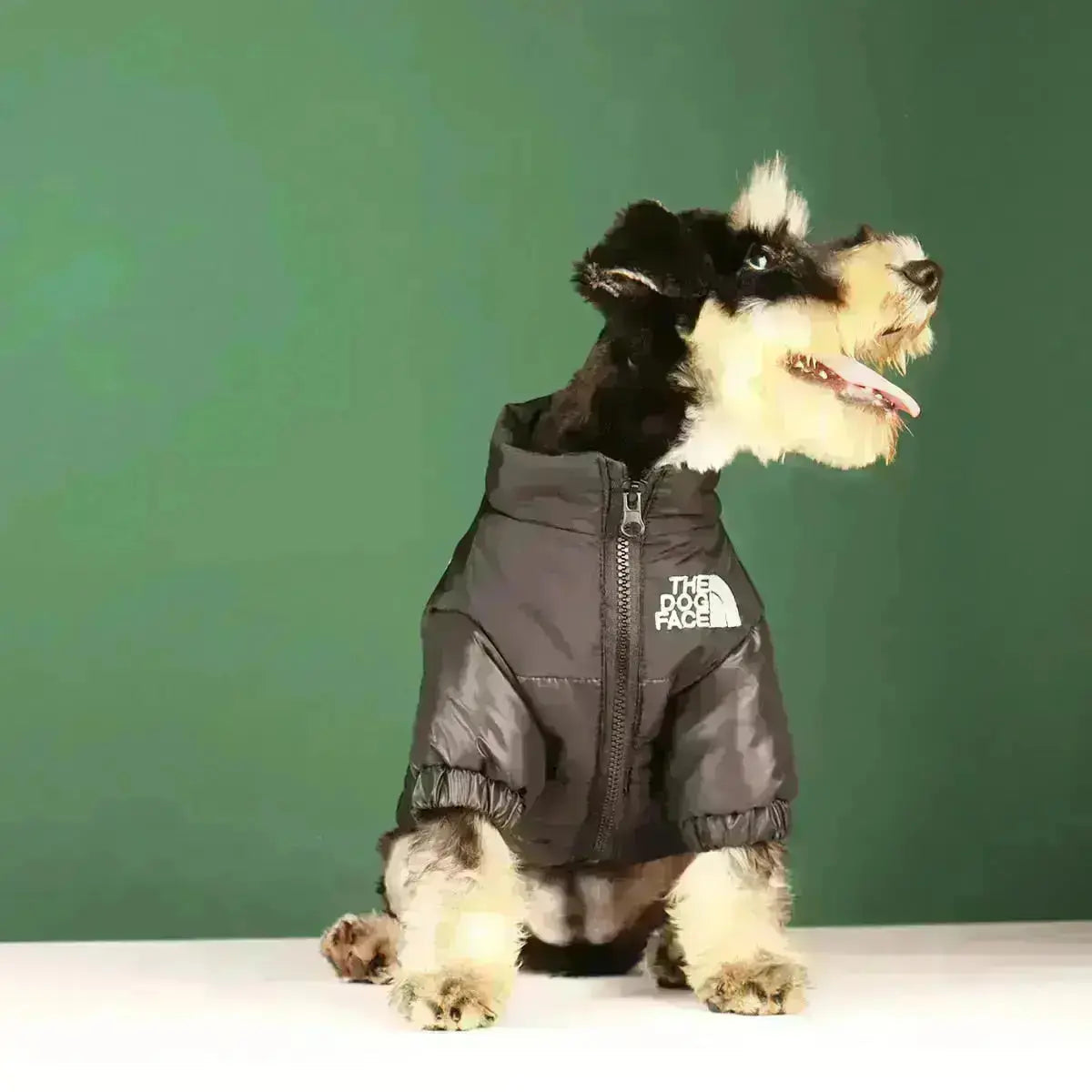 Dog Winter Jacket, Lined and Windproof