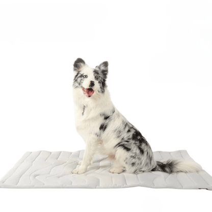 CHILLTAIL COOL MAT Self-cooling Dog