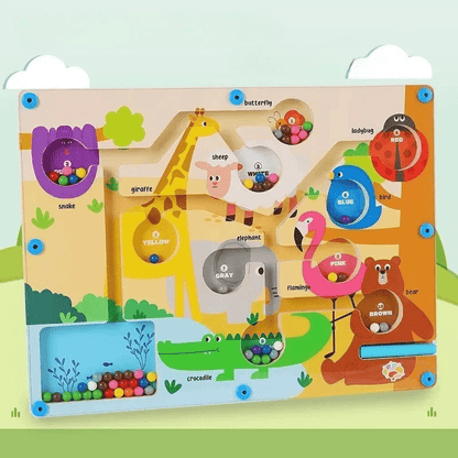 ColorQuest Magnetic Colour and Number Game