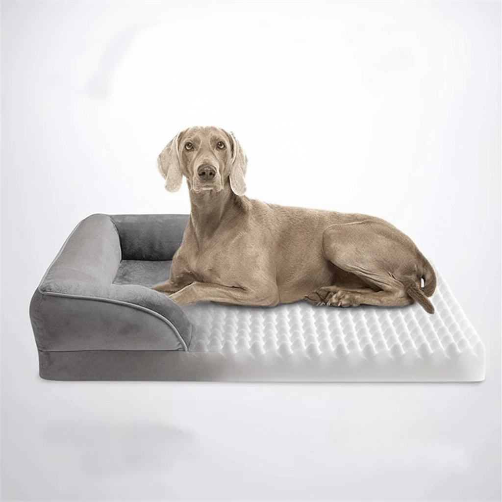 PETIQUE COMFORTBED Orthopedic Dog Bed