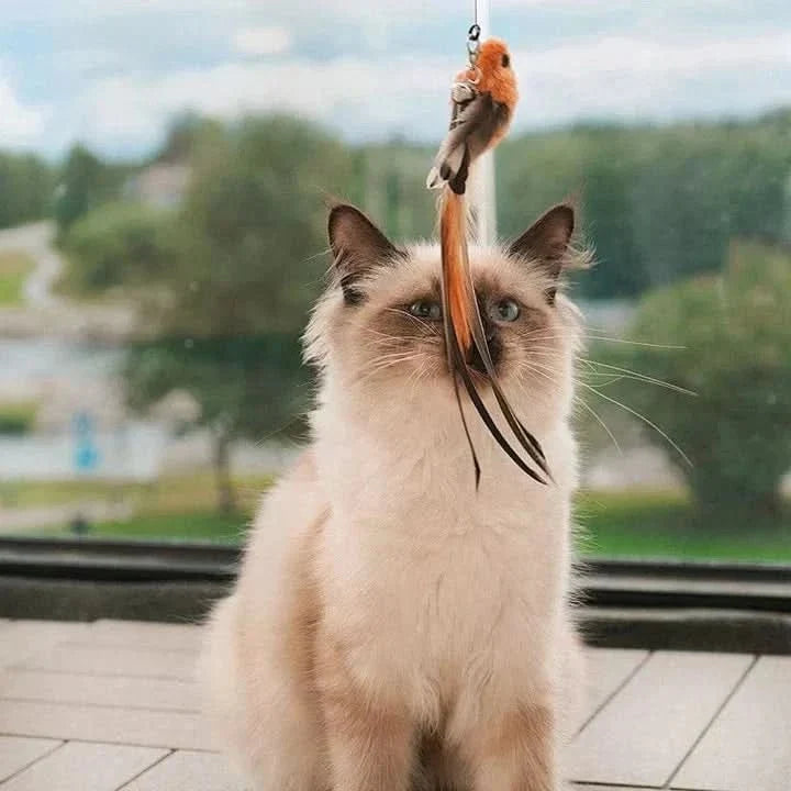 WINGWHIRL Interactive Cat Toy