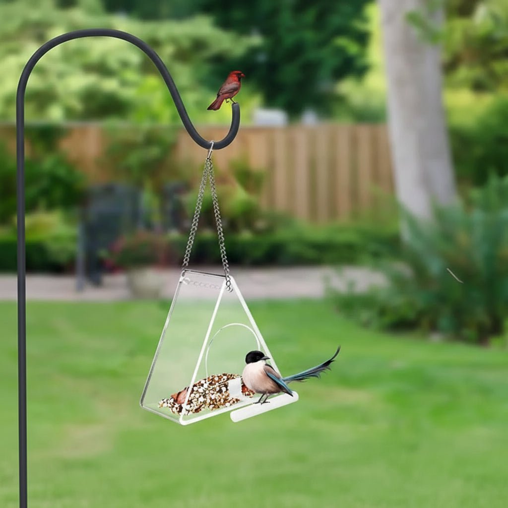 TRIFEED Acrylic Bird Feeder