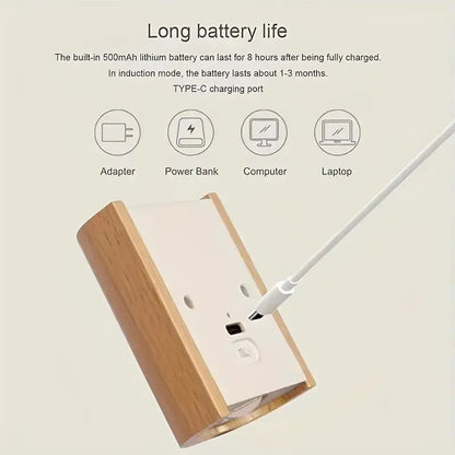 WOODSENSE Wooden Lamp