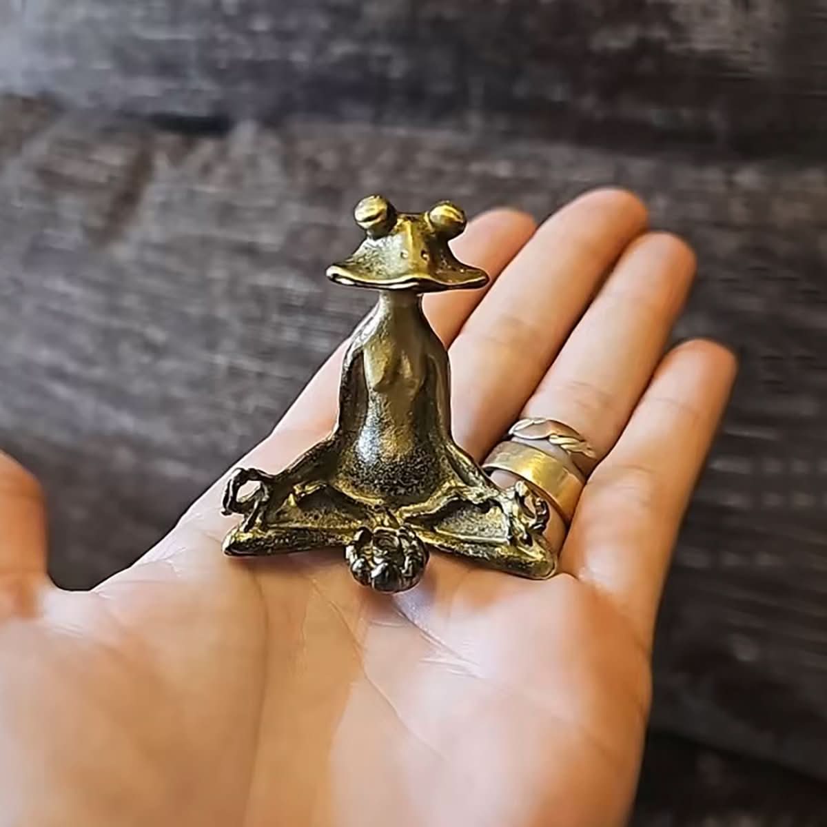 Serenova Meditation Frog Handmade Incense Holder